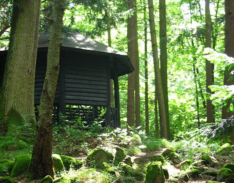 Akademischer Forstgarten Gießen, Giessen, Germany, Germany